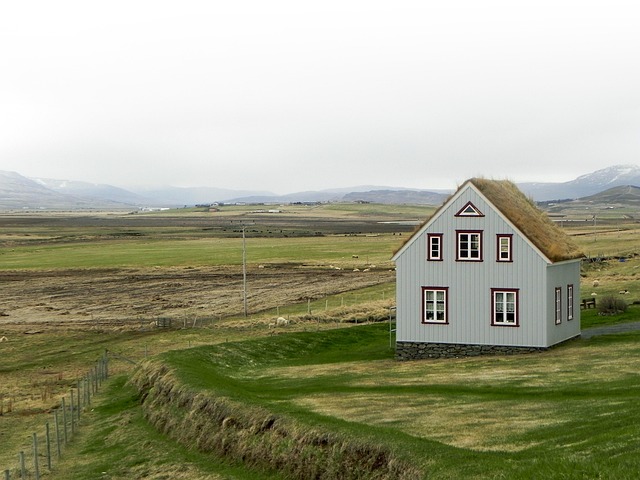 Vælg den rette kvist til dit tag – eksperternes bedste råd
